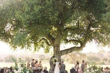 marielp-wedding-planner-montpellier-green wedding